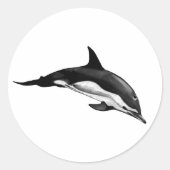 STICKER ROND DOLPHIN COMMUN (Devant)