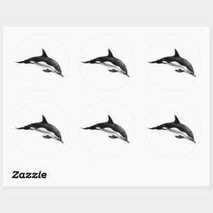 STICKER ROND DOLPHIN COMMUN