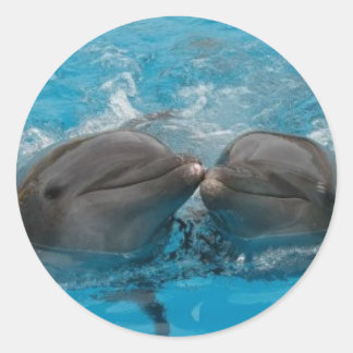 Sticker Rond Dolphin Kiss