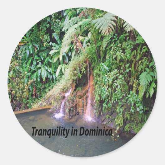 Sticker Rond Dominique (Devant)