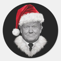 Donald Trump Christmas Funny Santa Hat Don