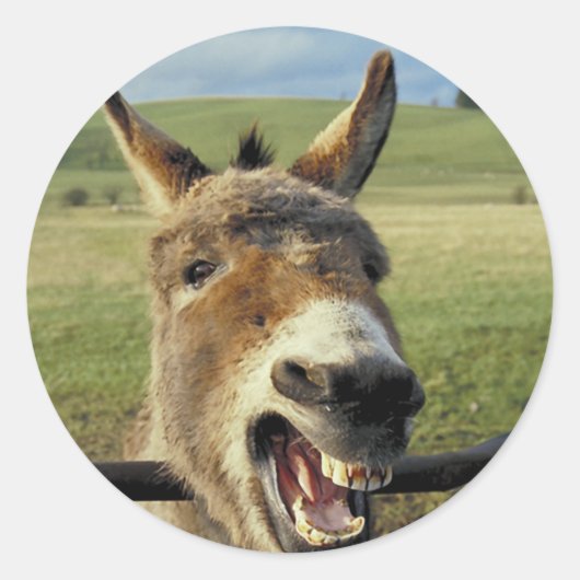 Sticker Rond Donkey (Devant)