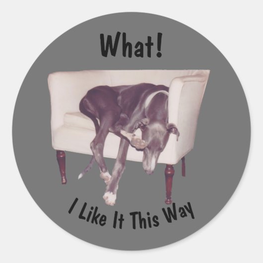 Sticker Rond Dormir Greyhound En Chaise Drôle (Devant)