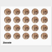 Sticker Rond Douce Ruby Cavalier King Charles Spaniel (Feuille)