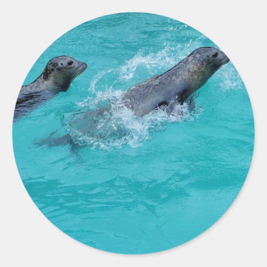 Sticker Rond Doux Phoques de natation Couple (Devant)