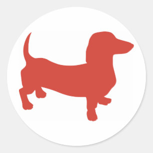 Sticker Rond Doxie - Dacshund