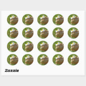 Sticker Rond Dragon barbu (Feuille)