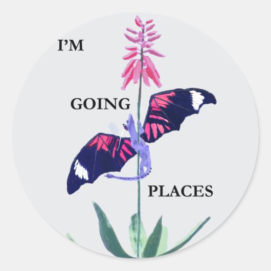 Sticker Rond Dragon et cactus (Devant)