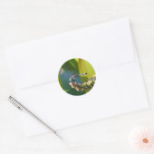 Sticker Rond Dragonfly aux yeux turquoises (Enveloppe)