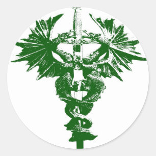 Sticker Rond Dragons verts et blancs