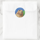 Sticker Rond Dramatique Chipmunk (Sac)