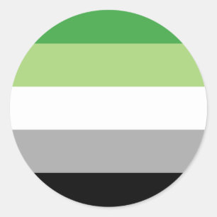 Sticker Rond drapeau aromantic