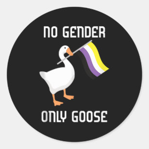 Sticker Rond Drapeau de fierté non binaire d'oie sans genre Fie