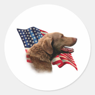 Sticker Rond Drapeau de Retriever de la Baie de Chesapeake