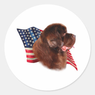 Sticker Rond Drapeau de Terre-Neuve (brun)