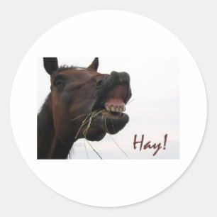Sticker Rond Drôle Cheval : foin !
