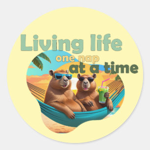 Sticker Rond drôle de capybara, cadeau, mignon capybara, ne pas