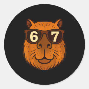 Sticker Rond Drôle de capybara Sungles 67 Six Sept Mème 