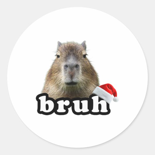 Sticker Rond Drôle de Capyra Noël (Devant)