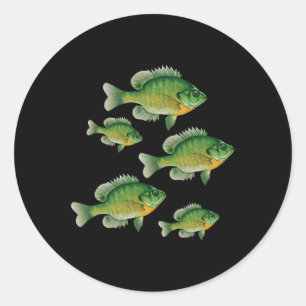 Sticker Rond Drôle de poisson-castor soleil pêche poisson d'eau