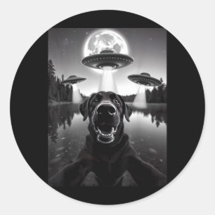Sticker Rond Drôle de selfie de chien labrador noir avec des ov