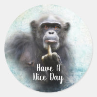 Drôle Offensive Chimpanzé Moyen Doigt