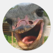Sticker Rond Drôle Ostrich Bird Photo What's Up (Devant)