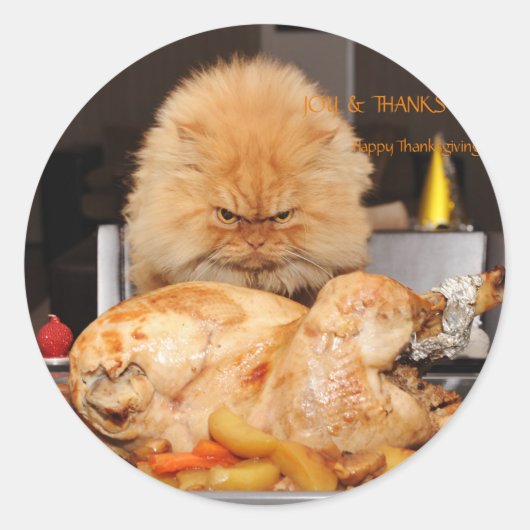 Sticker Rond Drôle Thanksgiving Chat (Devant)