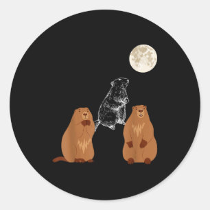 Sticker Rond Drôle Trois Marmotte Lune Jour de la Marmotte Homm