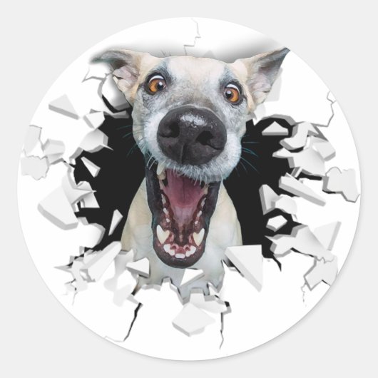 Sticker Rond Drôle visage chien (Devant)
