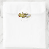 Sticker Rond drosophila melanogaster (Sac)
