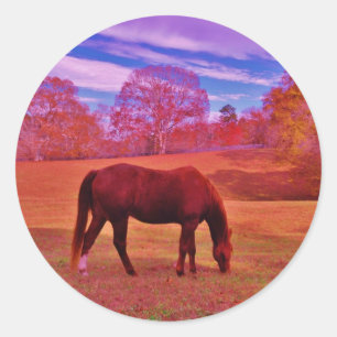 STICKER ROND DSCF0536.JPG