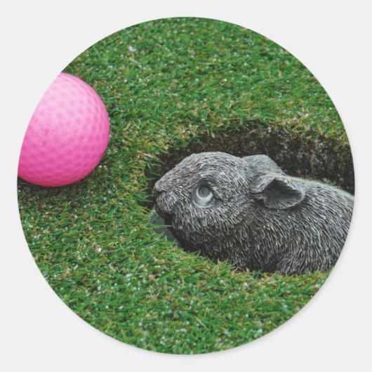 STICKER ROND DSCF0652.JPG (Devant)