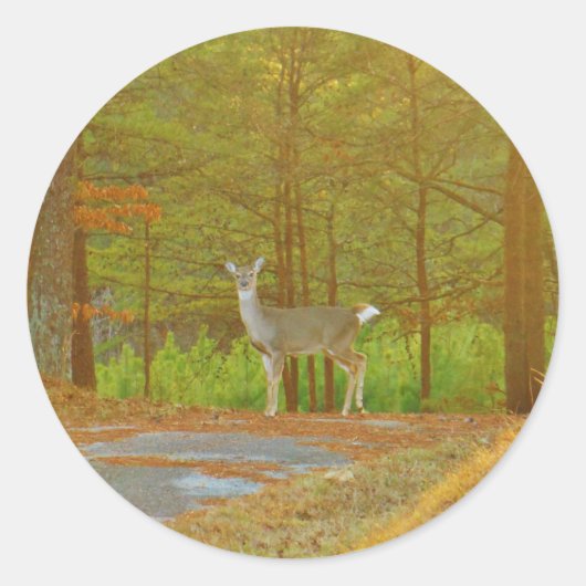 STICKER ROND DSCF4041.JPG (Devant)