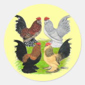 Sticker Rond D'Uccles Quatre Coq (Devant)