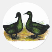 Sticker Rond Ducks : Cayuga Pair (Devant)