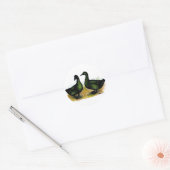 Sticker Rond Ducks : Cayuga Pair (Enveloppe)