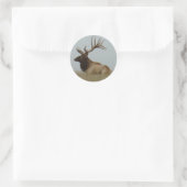 Sticker Rond E15 Bull Elk (Sac)