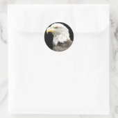 Sticker Rond Eagles Stare (Sac)