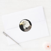 Sticker Rond Eagles Stare (Enveloppe)