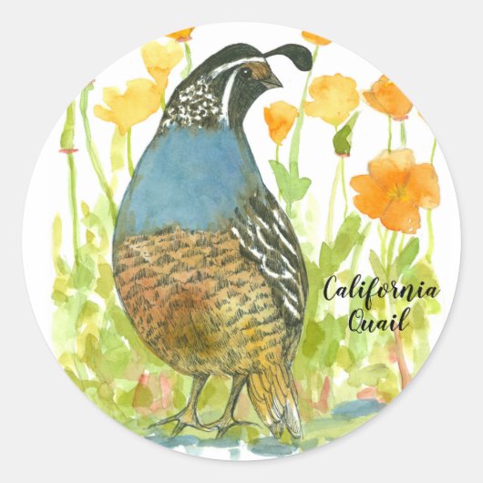 Sticker Rond Eau de caille d'oiseaux de Californie (Devant)