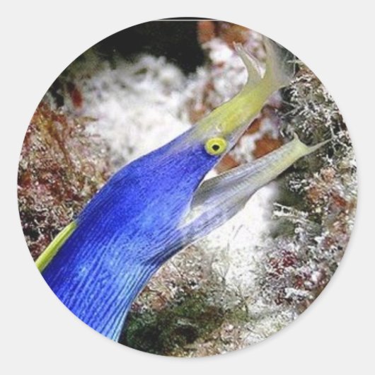 Sticker Rond Eau de ruban (Devant)