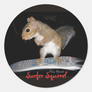 Sticker Rond Écureuil