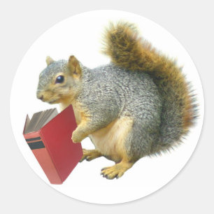 Sticker Rond Écureuil avec livre