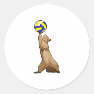 Sticker Rond Écureuil avec volleyball