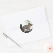 Sticker Rond Écureuil Brown (Enveloppe)