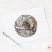 Sticker Rond Écureuil d'hiver, neige et baies rouges Conception (Enveloppe)