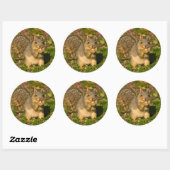 Sticker Rond Écureuil gris, manger, arachide, Springs Crystal (Feuille)