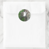 Sticker Rond Écureuil gris (Sciurus carolinensis) (Sac)
