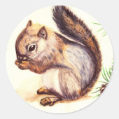 Sticker Rond Écureuil mignon sur votre sceau (Devant)